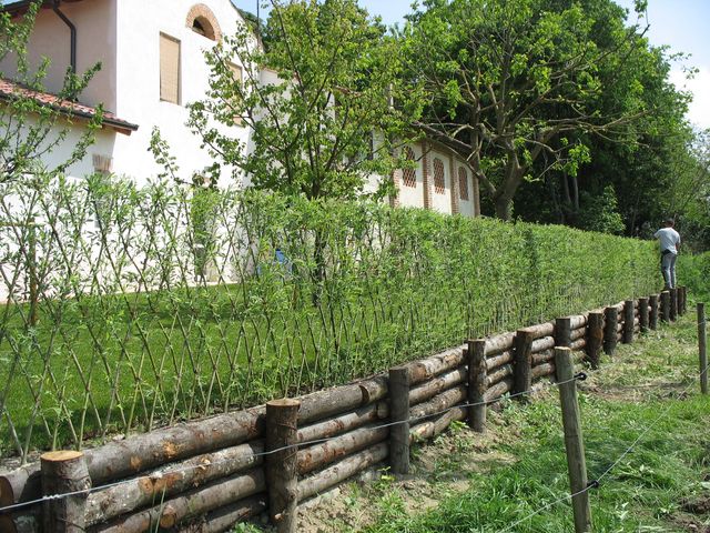 Opere in salice vivente